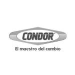 pinturas condor el maestro del cambio